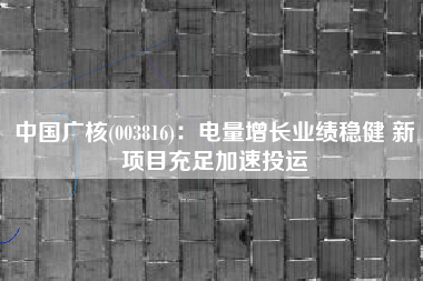 中国广核(003816)：电量增长业绩稳健 新项目充足加速投运