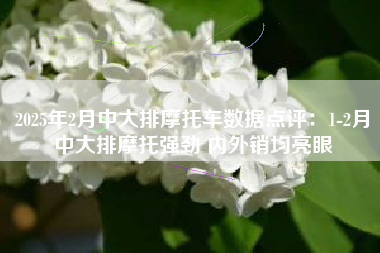 2025年2月中大排摩托车数据点评：1-2月中大排摩托强劲 内外销均亮眼