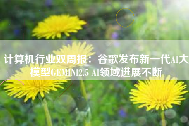 计算机行业双周报：谷歌发布新一代AI大模型GEMINI2.5 AI领域进展不断