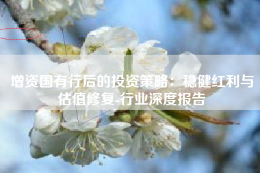 增资国有行后的投资策略：稳健红利与估值修复-行业深度报告