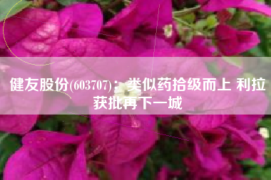健友股份(603707)：类似药拾级而上 利拉获批再下一城
