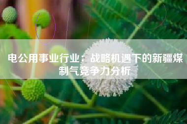 电公用事业行业：战略机遇下的新疆煤制气竞争力分析