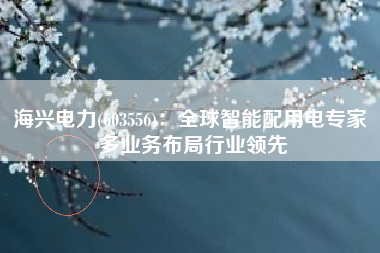 海兴电力(603556)：全球智能配用电专家 多业务布局行业领先