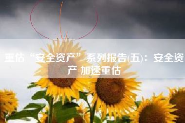 重估“安全资产”系列报告(五)：安全资产 加速重估