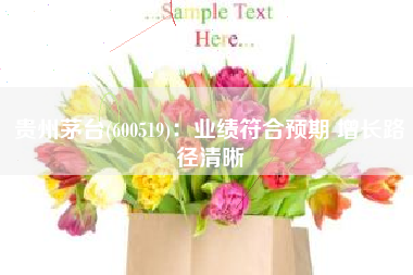 贵州茅台(600519)：业绩符合预期 增长路径清晰