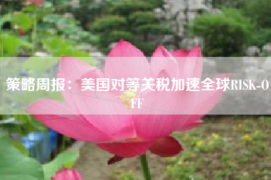 策略周报：美国对等关税加速全球RISK-OFF
