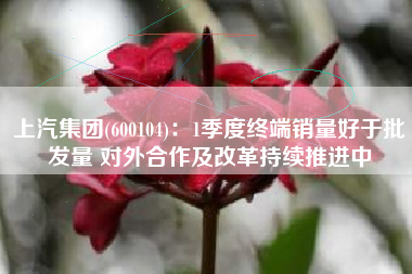 上汽集团(600104)：1季度终端销量好于批发量 对外合作及改革持续推进中