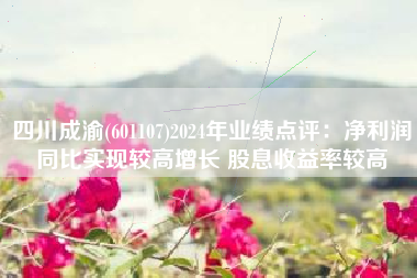 四川成渝(601107)2024年业绩点评：净利润同比实现较高增长 股息收益率较高