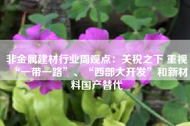 非金属建材行业周观点：关税之下 重视“一带一路”、“西部大开发”和新材料国产替代