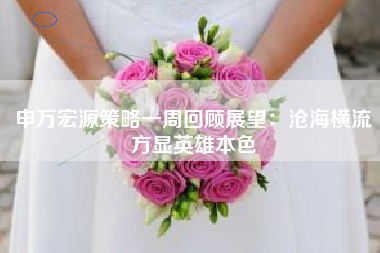 申万宏源策略一周回顾展望：沧海横流方显英雄本色