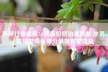 环保行业周报：完善价格治理机制 水务、垃圾焚烧等细分领域有望受益