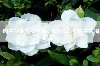肉牛行业投资框架：看好2025年肉牛大周期反转