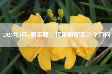 2025年4月A股策略：权重股配置三个方向