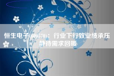 恒生电子(600570)：行业下行致业绩承压 静待需求回暖