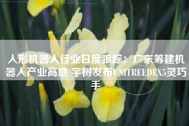 人形机器人行业日度跟踪：广东筹建机器人产业高地 宇树发布UNITREEDEX5灵巧手