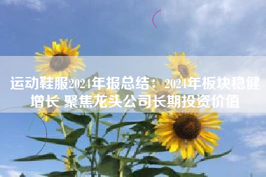 运动鞋服2024年报总结：2024年板块稳健增长 聚焦龙头公司长期投资价值