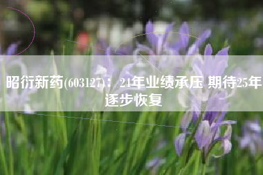 昭衍新药(603127)：24年业绩承压 期待25年逐步恢复