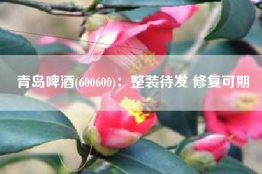 青岛啤酒(600600)：整装待发 修复可期