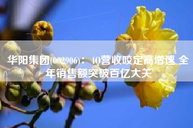 华阳集团(002906)：4Q营收咬定高增速 全年销售额突破百亿大关