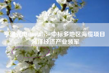 亨通光电(600487)：中标多地区海缆项目 海洋经济产业领军
