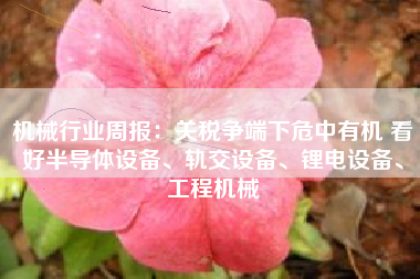 机械行业周报：关税争端下危中有机 看好半导体设备、轨交设备、锂电设备、工程机械