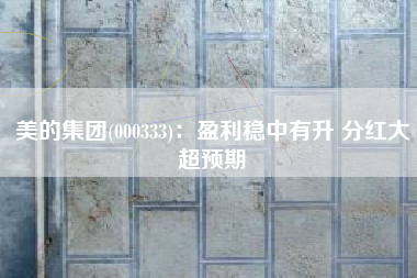 美的集团(000333)：盈利稳中有升 分红大超预期