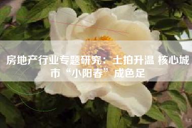房地产行业专题研究：土拍升温 核心城市“小阳春”成色足