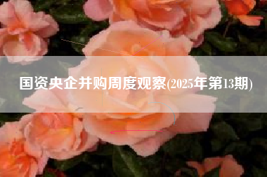 国资央企并购周度观察(2025年第13期)
