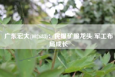 广东宏大(002683)：民爆矿服龙头 军工布局成长