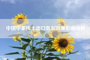 中国中重稀土出口管制政策影响分析