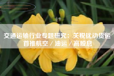 交通运输行业专题研究：关税扰动货运 首推航空／油运／高股息