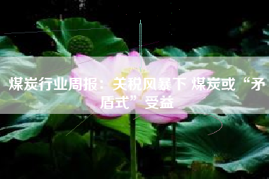 煤炭行业周报：关税风暴下 煤炭或“矛盾式”受益