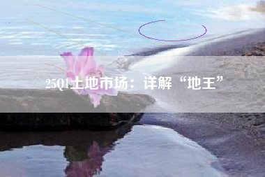 25Q1土地市场：详解“地王”