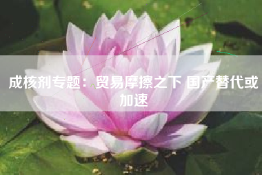 成核剂专题：贸易摩擦之下 国产替代或加速
