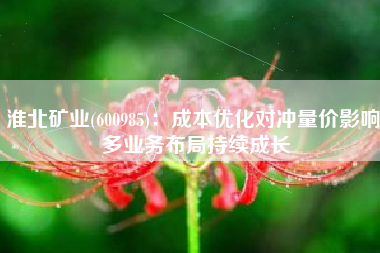 淮北矿业(600985)：成本优化对冲量价影响 多业务布局持续成长