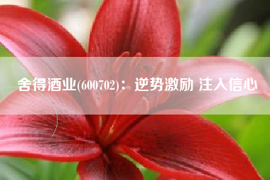 舍得酒业(600702)：逆势激励 注入信心
