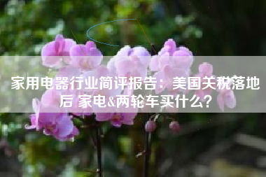 家用电器行业简评报告：美国关税落地后 家电&两轮车买什么？