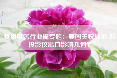 家用电器行业周专题：美国关税加征 对投影仪出口影响几何？