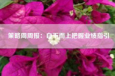 策略周周报：自下而上把握业绩指引