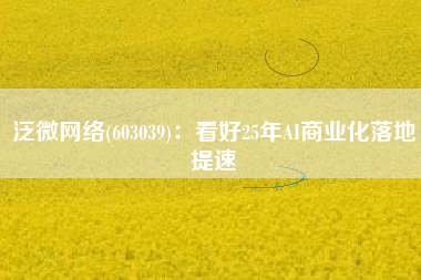 泛微网络(603039)：看好25年AI商业化落地提速
