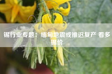 锡行业专题：缅甸地震或推迟复产 看多锡价