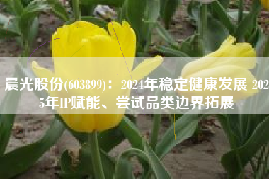 晨光股份(603899)：2024年稳定健康发展 2025年IP赋能、尝试品类边界拓展