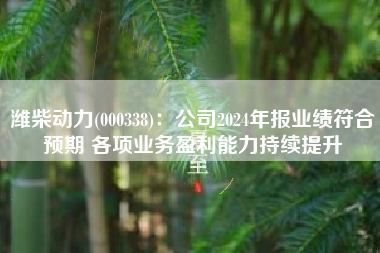 潍柴动力(000338)：公司2024年报业绩符合预期 各项业务盈利能力持续提升