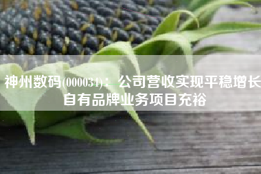 神州数码(000034)：公司营收实现平稳增长 自有品牌业务项目充裕