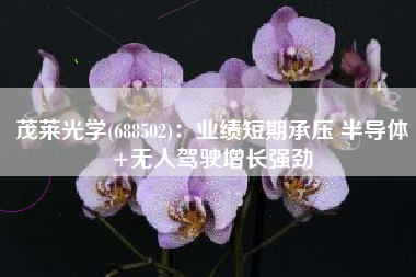 茂莱光学(688502)：业绩短期承压 半导体+无人驾驶增长强劲
