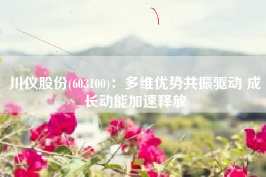 川仪股份(603100)：多维优势共振驱动 成长动能加速释放