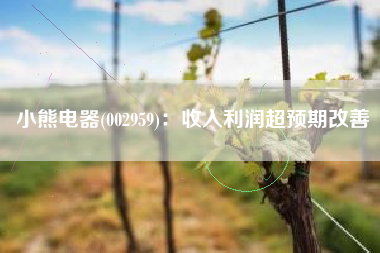 小熊电器(002959)：收入利润超预期改善