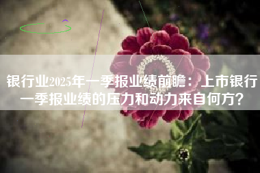 银行业2025年一季报业绩前瞻：上市银行一季报业绩的压力和动力来自何方？