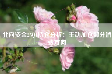北向资金25Q1持仓分析：主动加仓部分消费方向