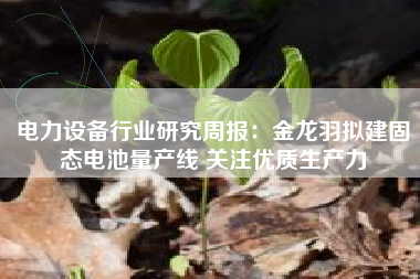 电力设备行业研究周报：金龙羽拟建固态电池量产线 关注优质生产力